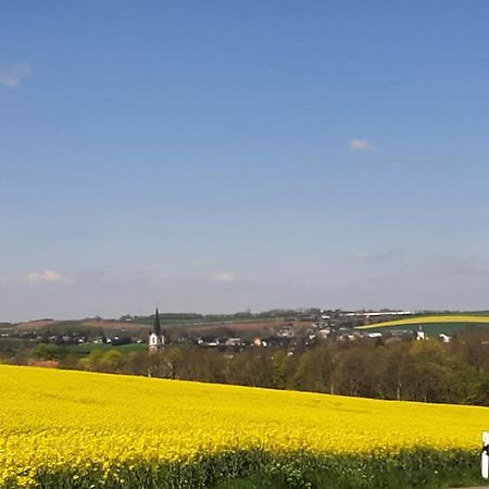 Ferienwohnung Im Gruenen Muldental Langenbach  Exteriör bild