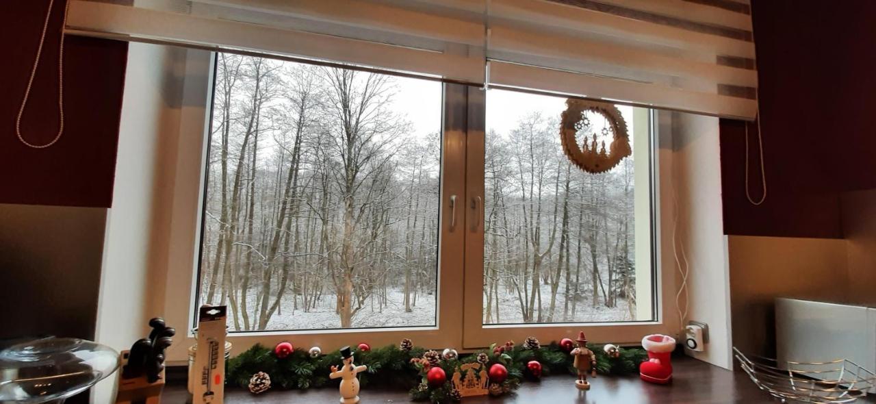 Ferienwohnung Im Gruenen Muldental Langenbach  Exteriör bild