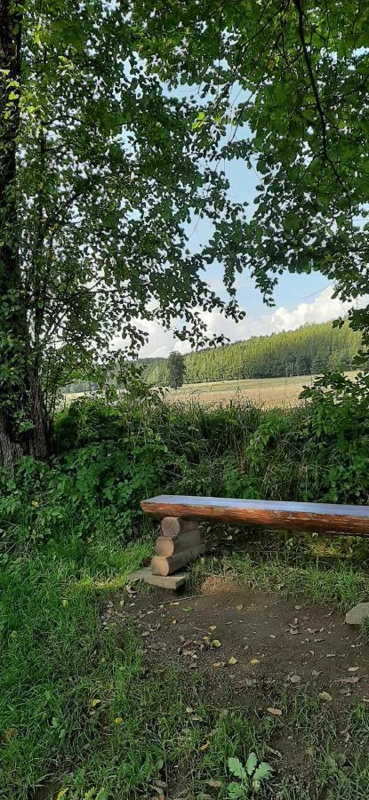 Ferienwohnung Im Gruenen Muldental Langenbach  Exteriör bild